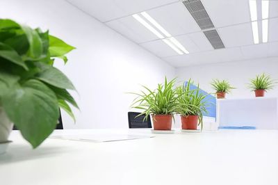 全行業(yè)應(yīng)對家具新時(shí)代的最大特征:微利
